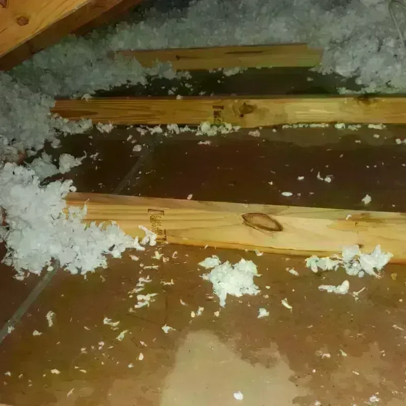 Attic Water Damage in North Star, DE